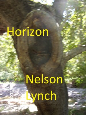 cover image of Horizon